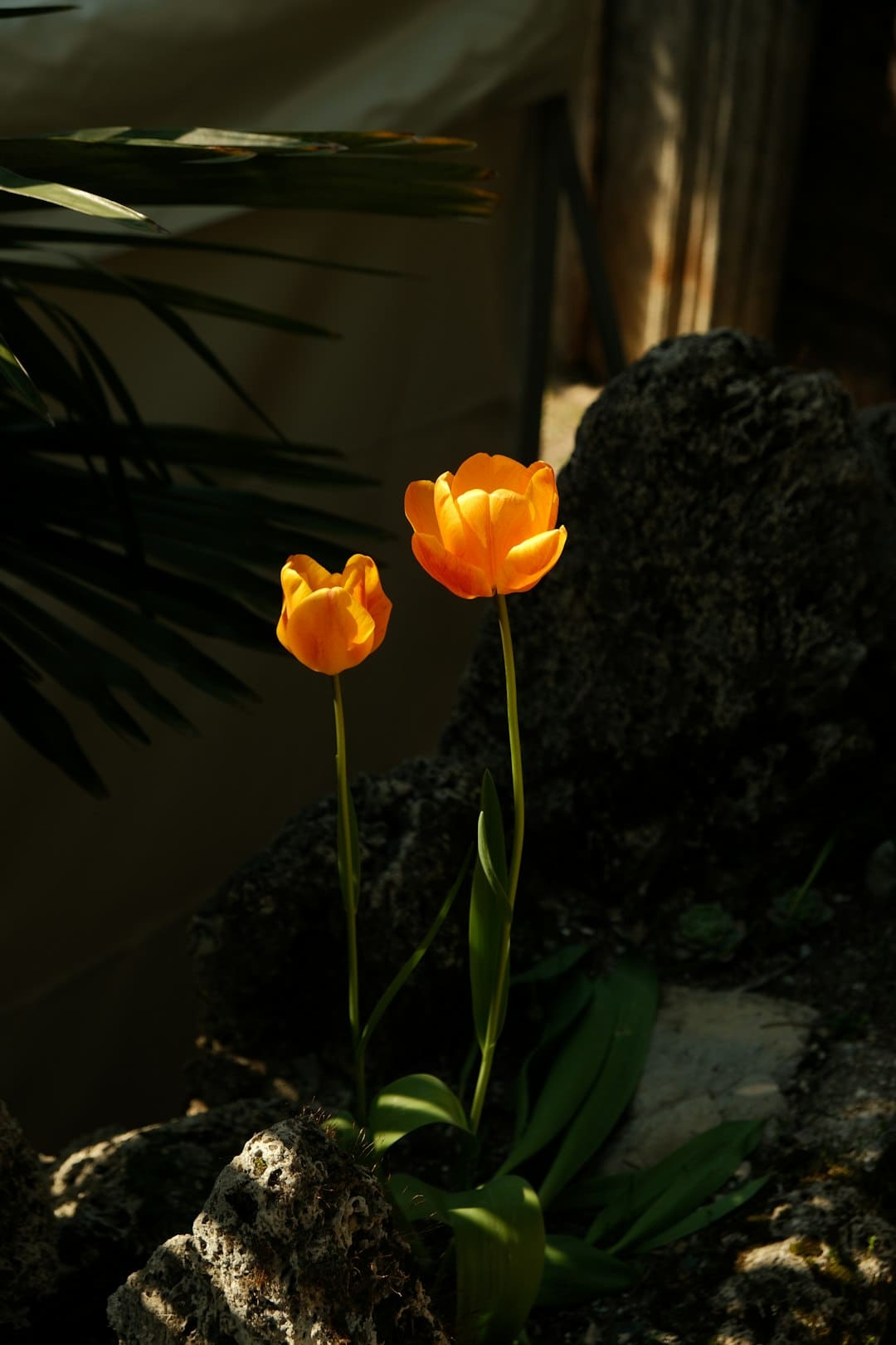 医药生物板块主力资金净流出超35亿元